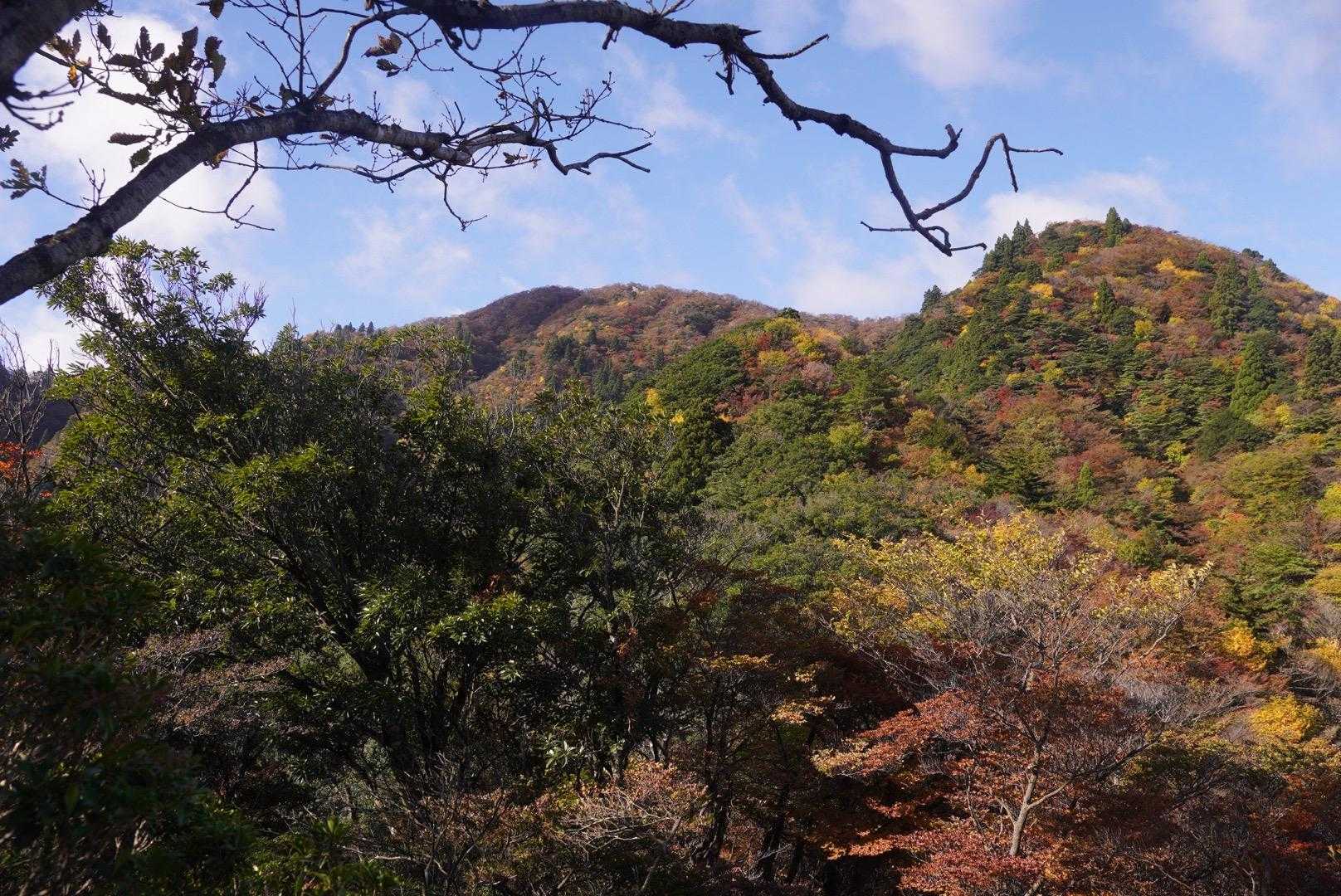 登りだしから急登続き！雨があがって青空😊