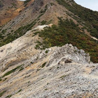駱駝山から思ったより落としてます。