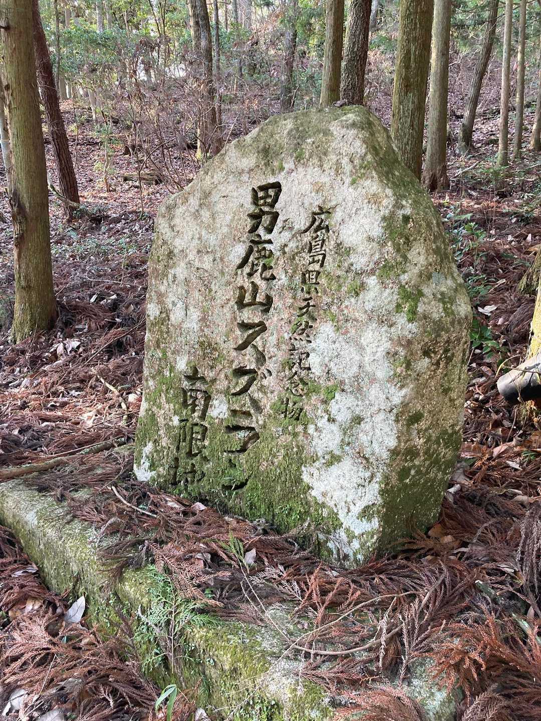 スズラン自生地だそう。