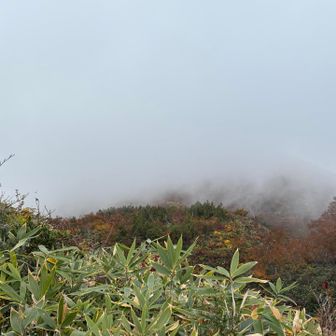 奧に着いた時はかろうじて見えてたのに、帰るときは🌫️