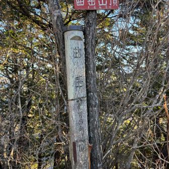 曲岳、登頂🙌
山頂直下の展望台に先客があったのでピークハント後すぐに次へ🚶
