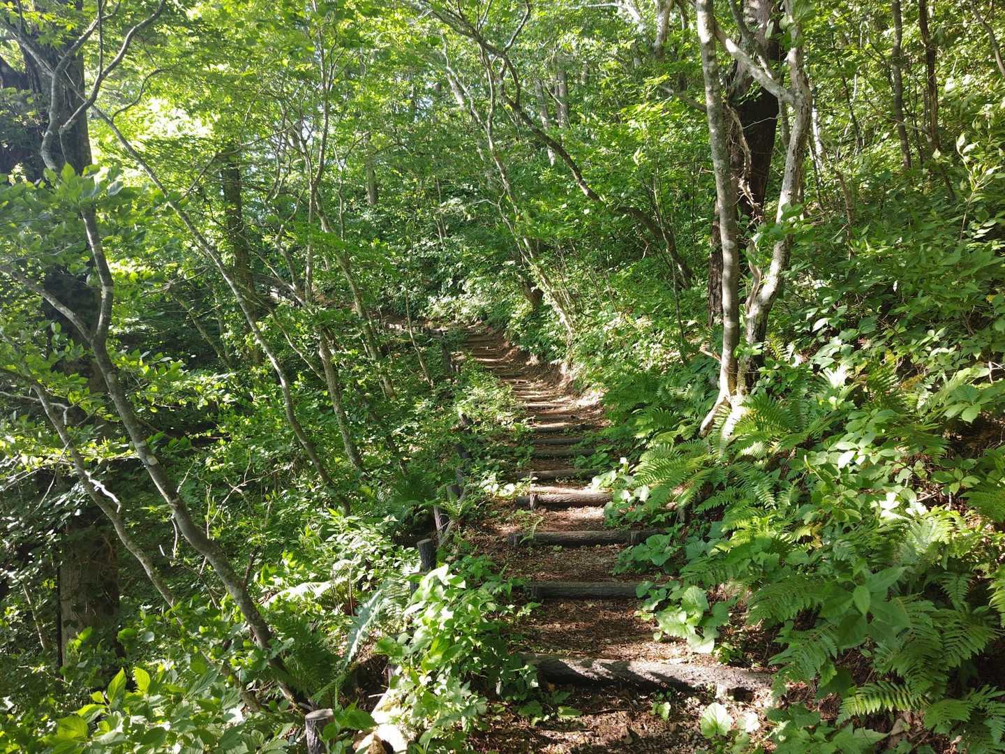 風が吹いてそんなに暑くない