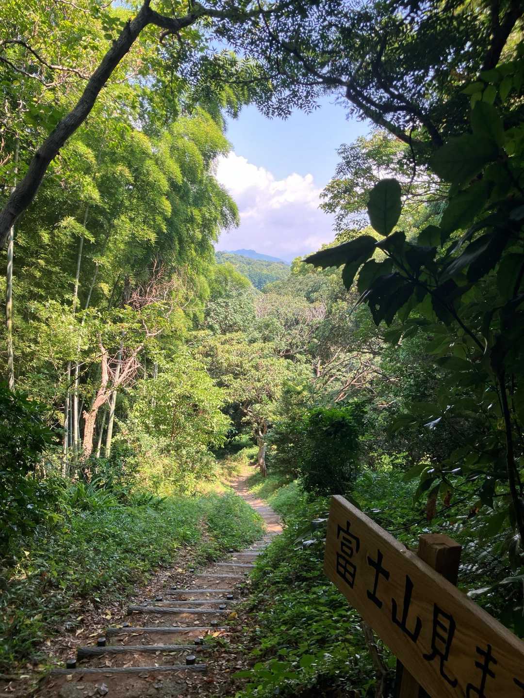 富士山見えず。