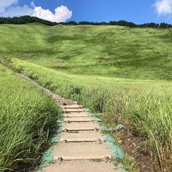 亀山峠に登り返します。