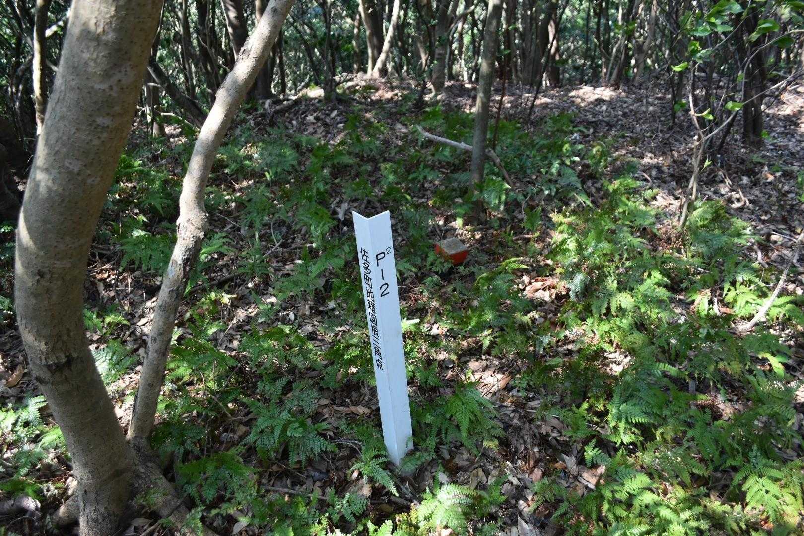 途中の三角点。