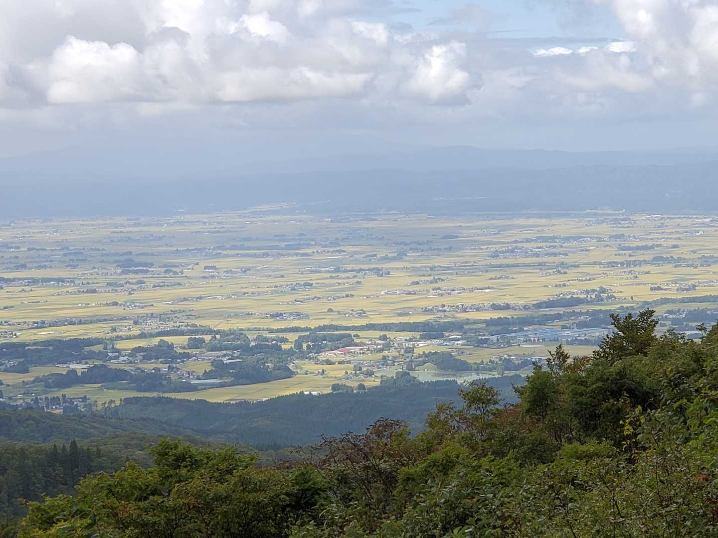 黒森山 往復コースの写真