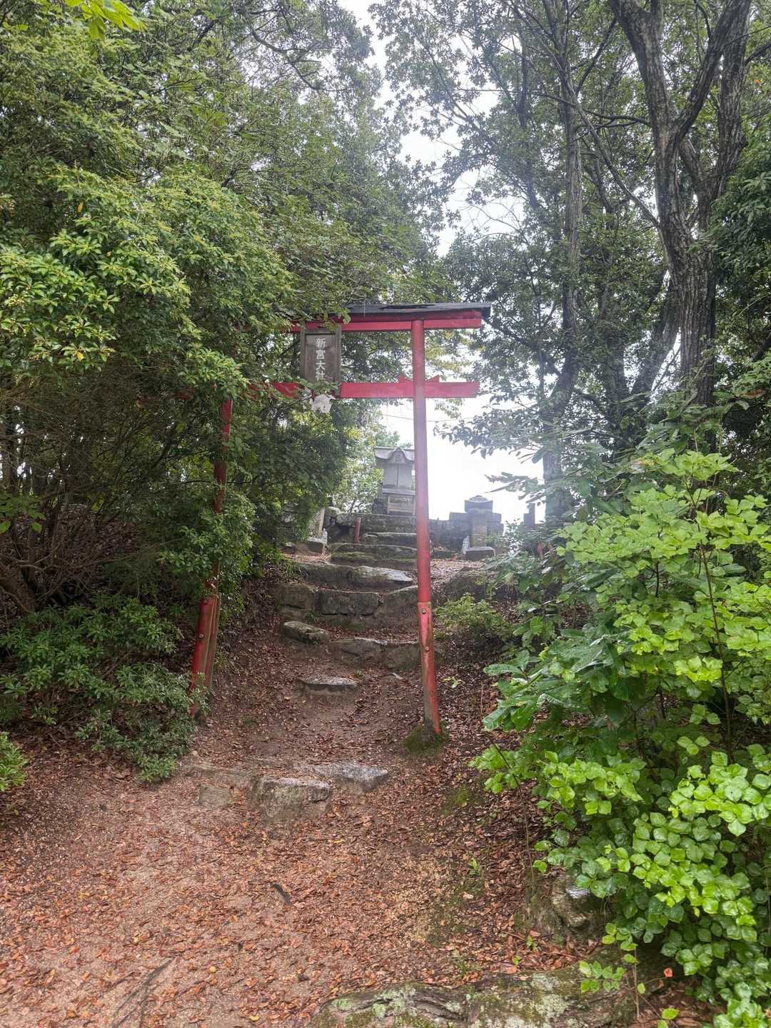 新宮大社⛩️

おじゃまします🙏