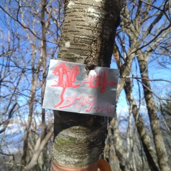 鍵掛　到着
1589m