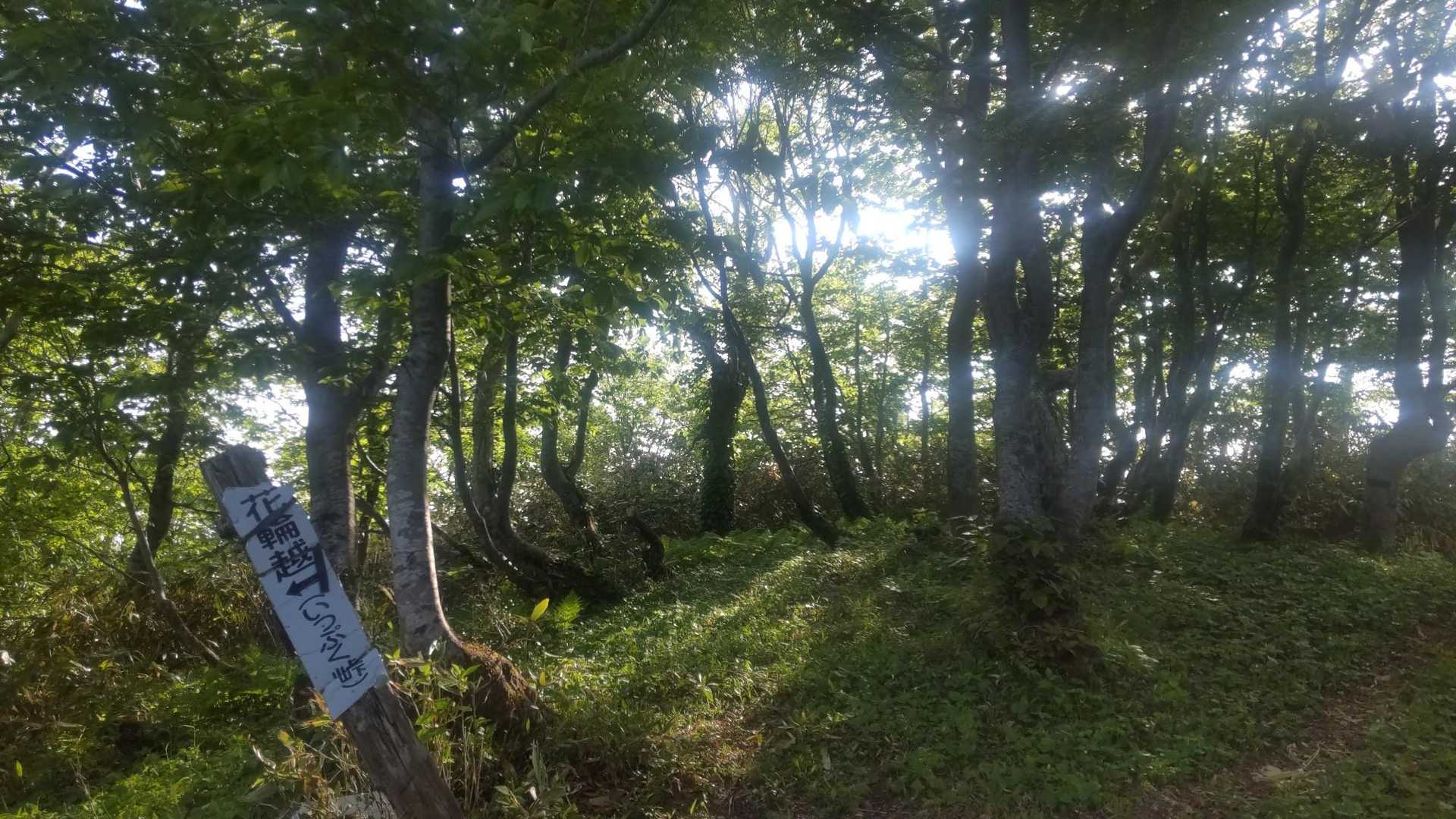 ここでガスを抜けました。