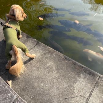 この生き物🐟なあに？
よく見てました👀"