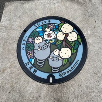 どりどり