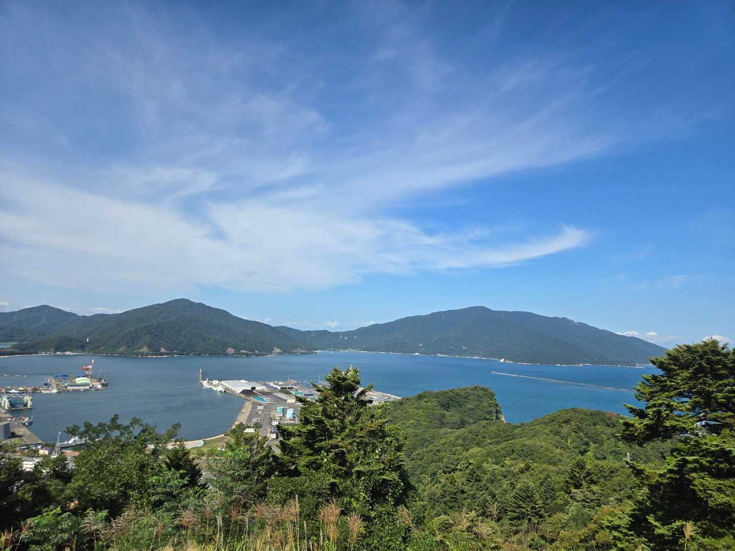 定点観測
