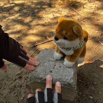 三角点にタッチ✌️