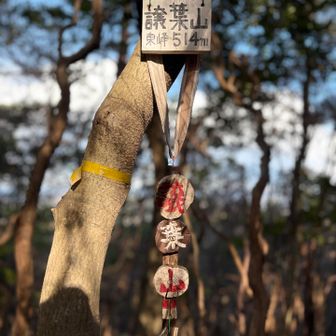 最後に手強かった

グレーピークも含む
西峰、南峰、北峰、譲葉山4兄弟

自分に負けない心燃やし続けた
