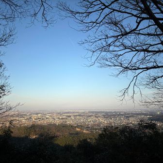 日高市街が見渡せる
