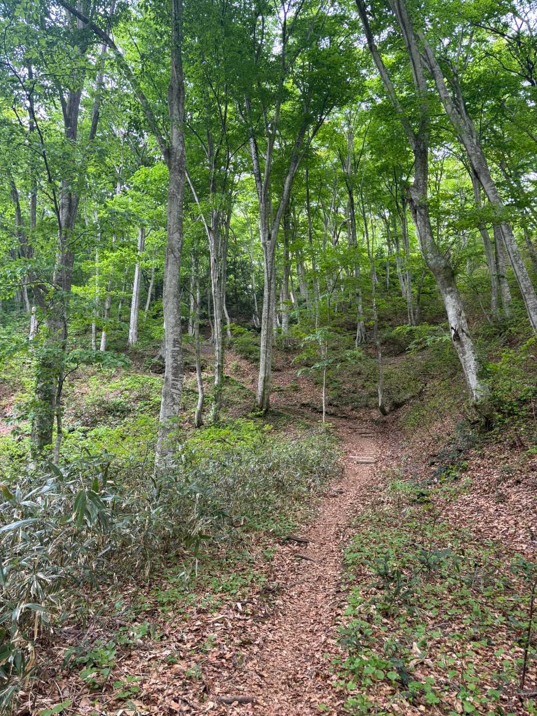 梵珠山 周回コースの写真