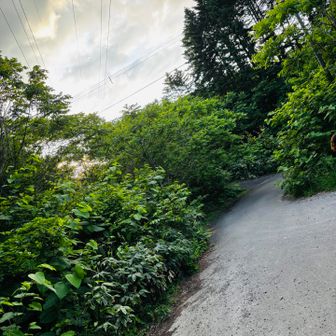 下山、膝は大丈夫👌
おつかれ山でした🙌