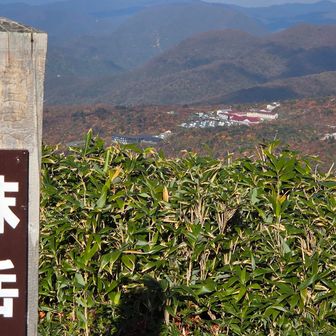 あそこがゴールかぁ､､
まだ結構あるな😵💧