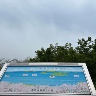 別角度、やはり何も見えず