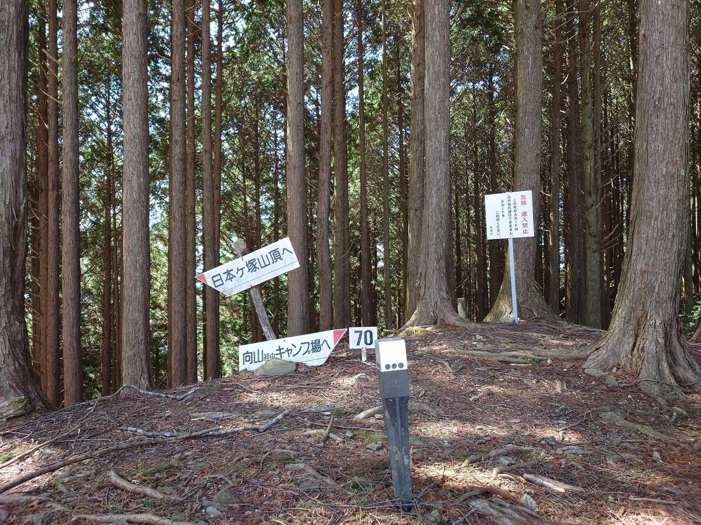 ニセ日本ヶ塚山到着