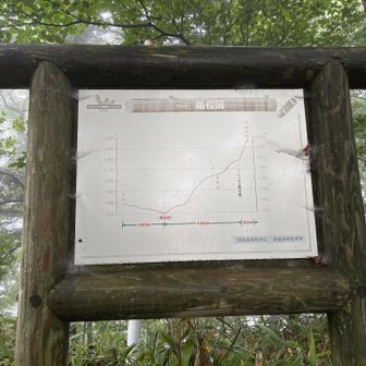 石鎚山での最下点
成就からずっと下ったので帰りはこれ登るのーって
