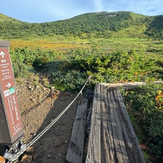 分岐を右へ🚶‍♀️🚶