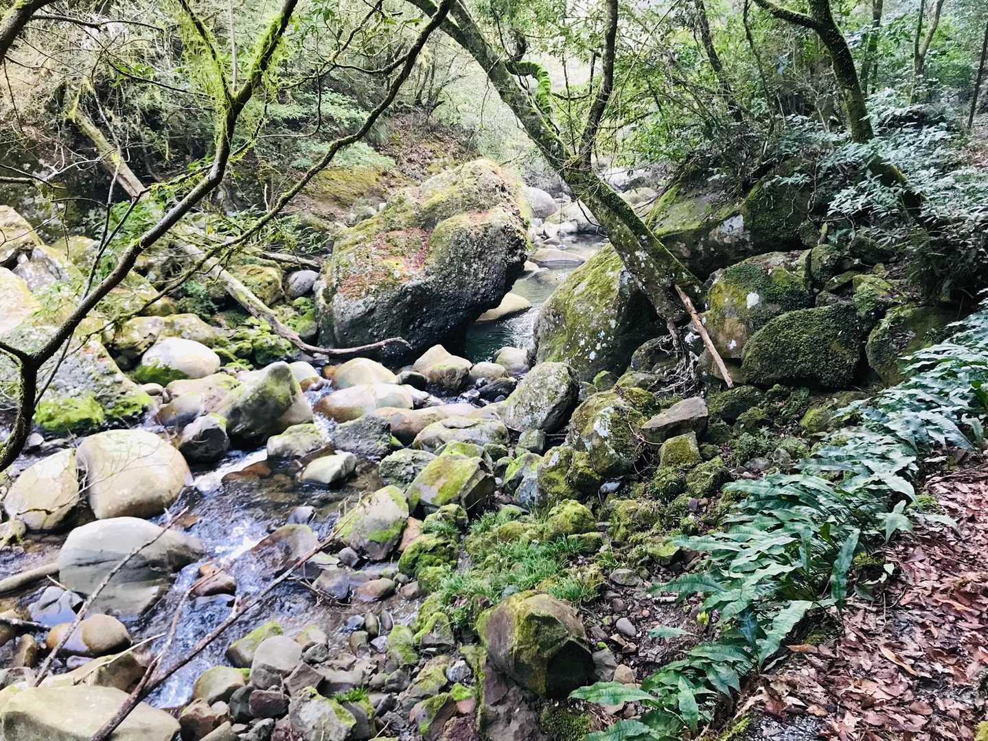 椿山キャンプ場からスタート。ここは【丸野駐車場登山口】から始まる加江田渓谷の終点。