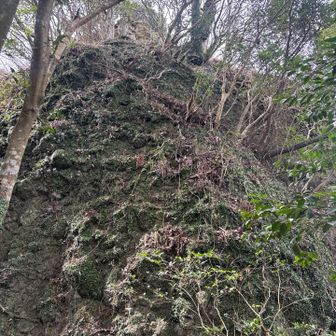 デッカいそそり立つ岩🪨