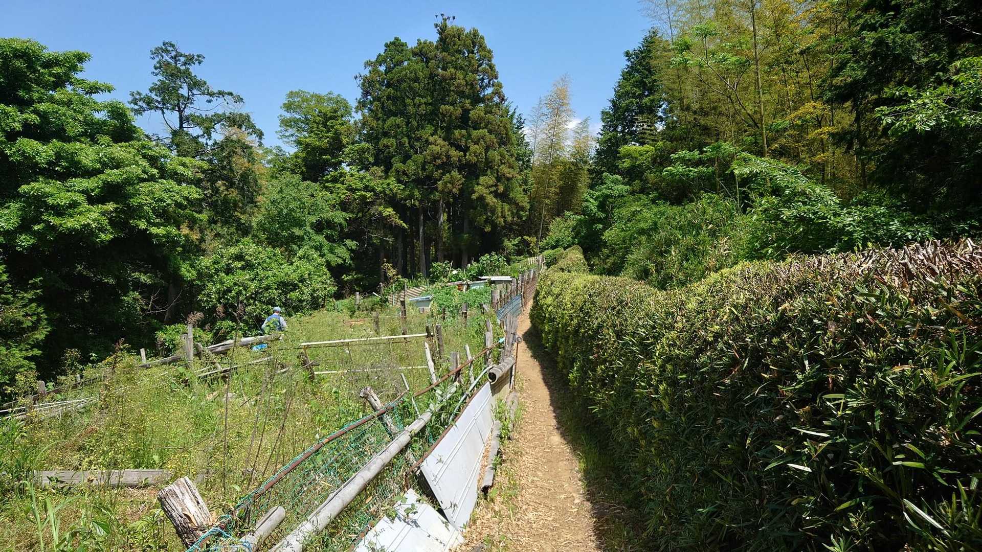 浅間神社登山口-浅間山-賤機山-茶臼山 往復コースの写真