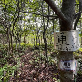 通谷