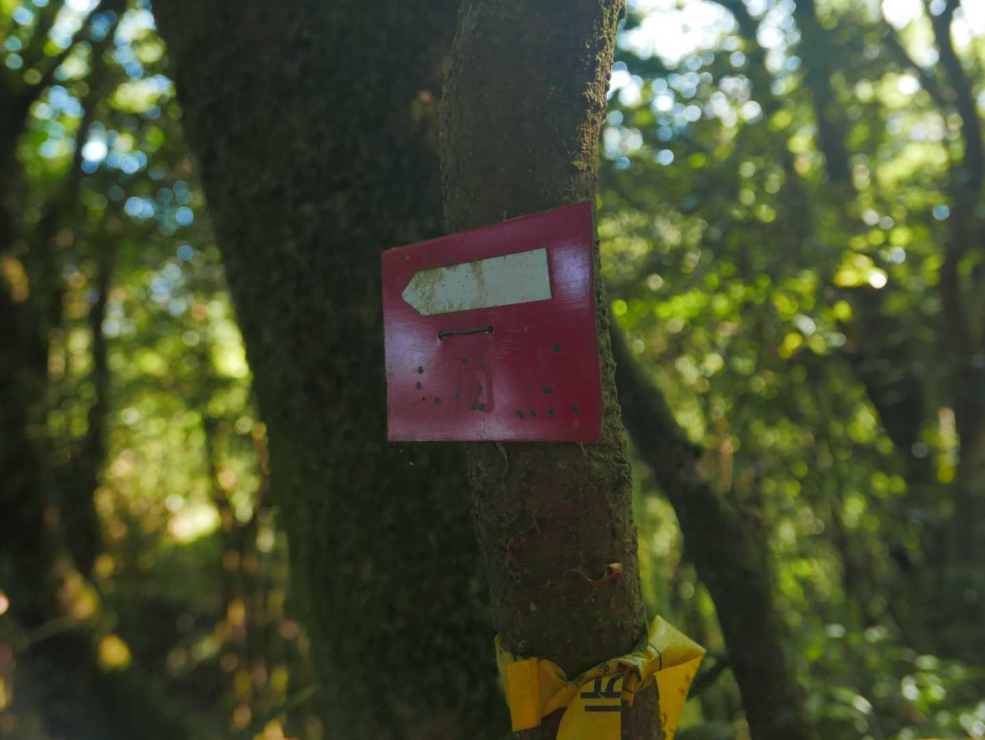 あ、三角点だって
