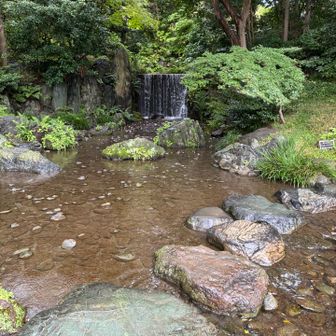 雨がいい感じで☔