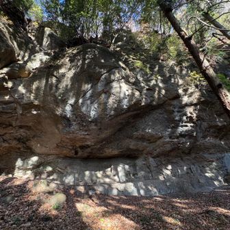 こんな所に急に何故⁉︎
って感じ😳