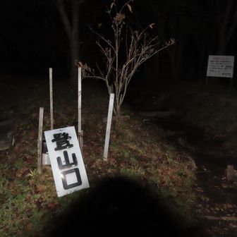 22時半くらいには駐車場到着🫡
空いてる😳

広い駐車場だし、この時期になると登る人もそんなにいないのかな

1番近いトイレは故障中😑
我慢して就寝🌙*

5時半からスタート👩‍🌾