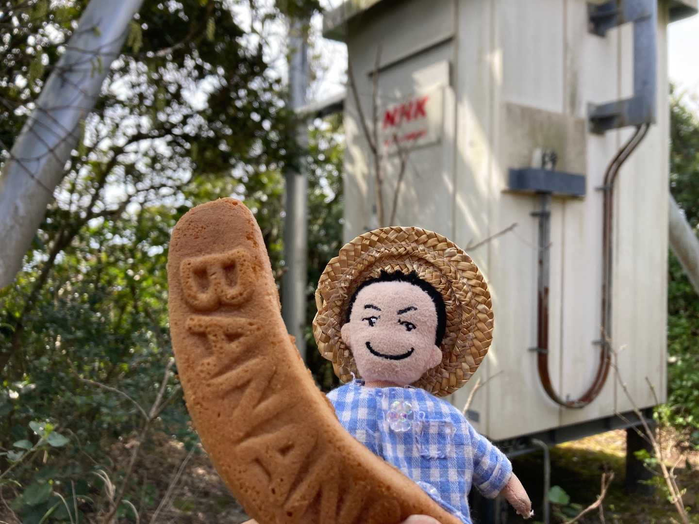今日の行動食〜バナナカステラ🍌
久しぶり…