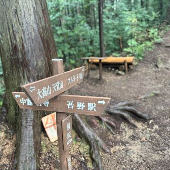このコースはエスケープルートが豊富なのでトレーニングには良い。（眺望は最悪ですが。