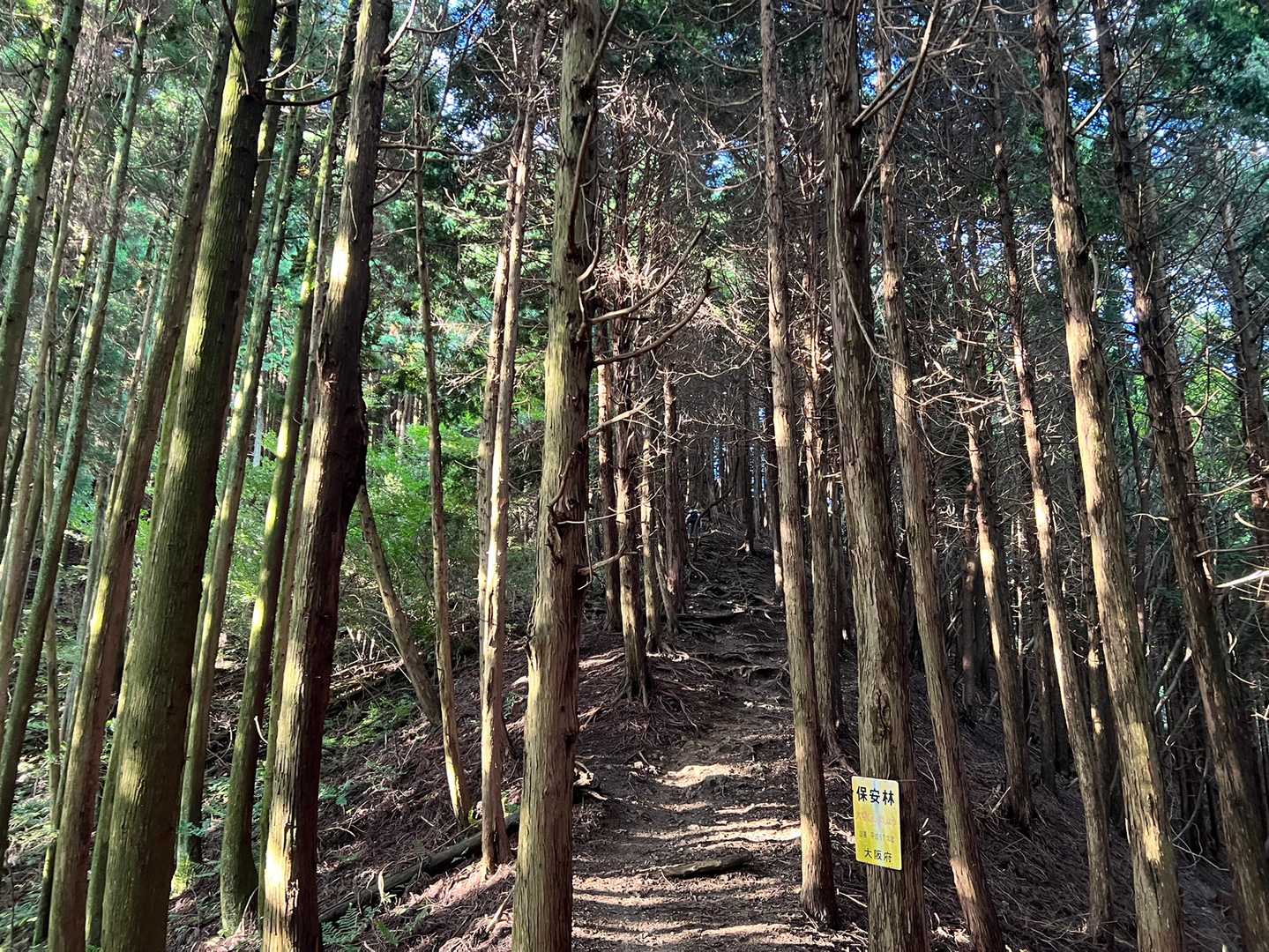 金剛山山頂売店-金剛山 周回コースの写真