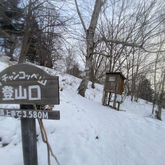 おつかれ山でした