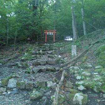 鳥居をくぐって、いざ山へ⛰️