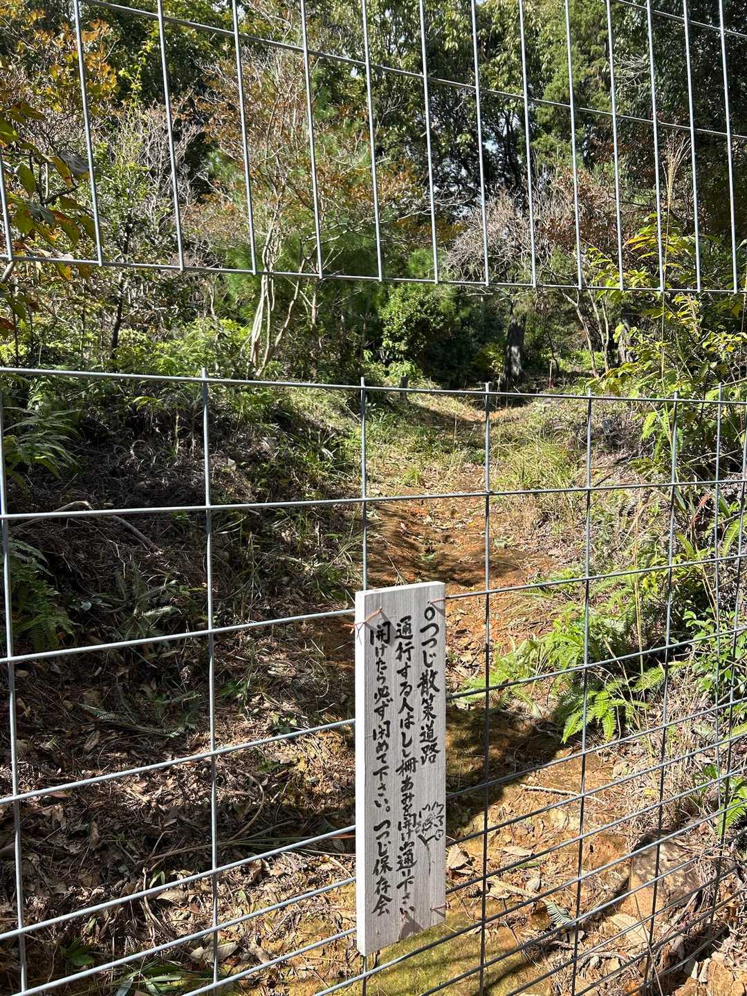 お寺の裏山、、階段が整備されてますが、、
やっぱり急登😅

柵を開けて