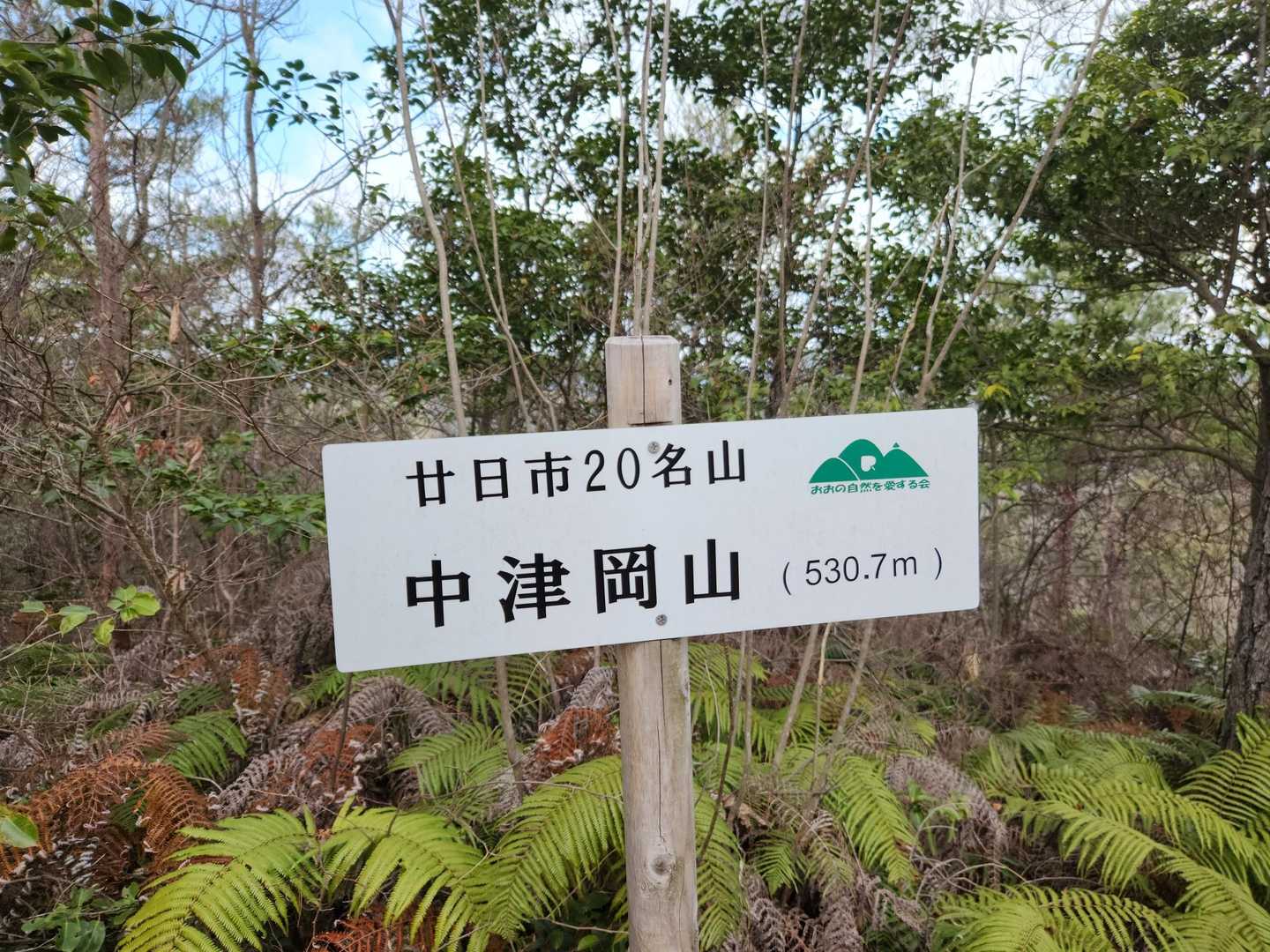 中津岡山  

展望はありませんが明るい
山頂