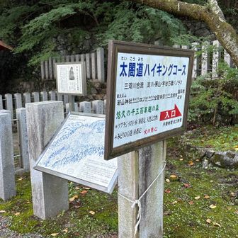 ここからスタート