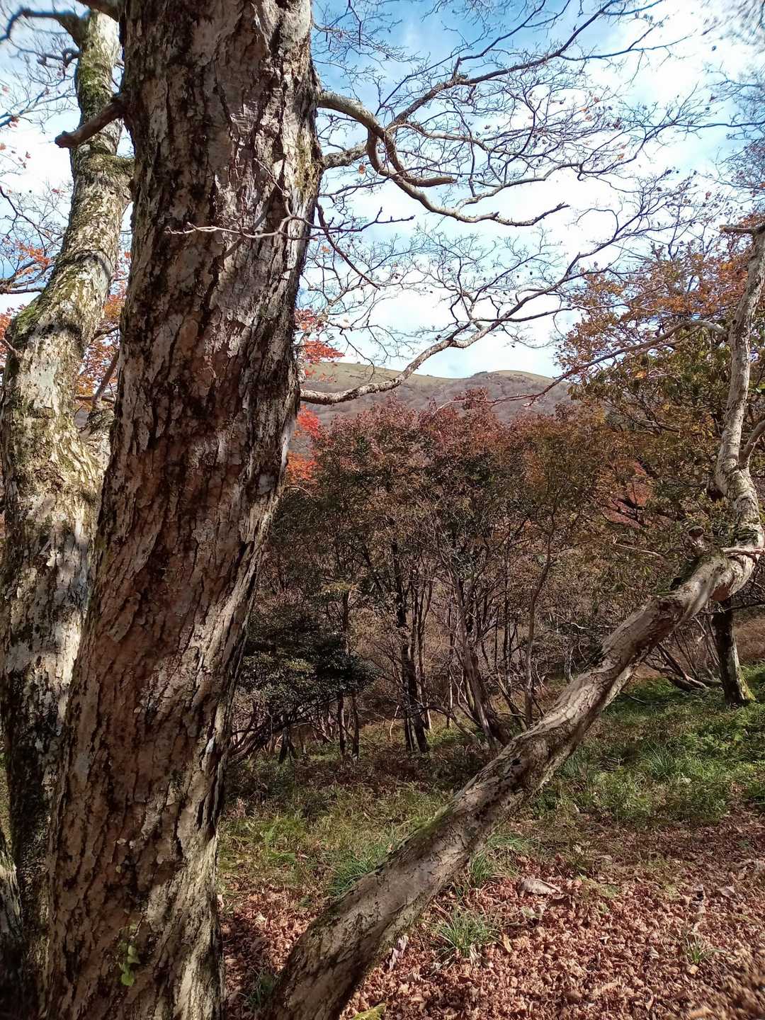 坂下バス停-小女郎峠 往復コースの写真