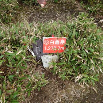 白倉岳山頂
