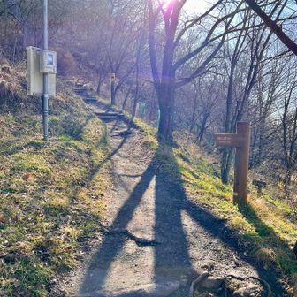 光城山登山口からスタート。