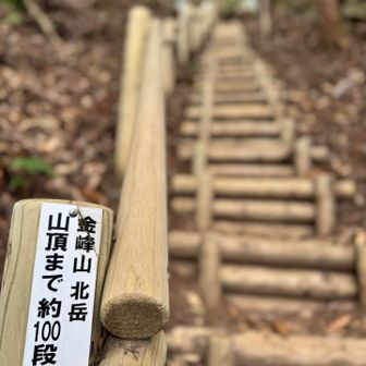 下から見たら壁のように急な木段💦