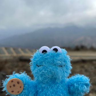 クッキーモンスター🍪