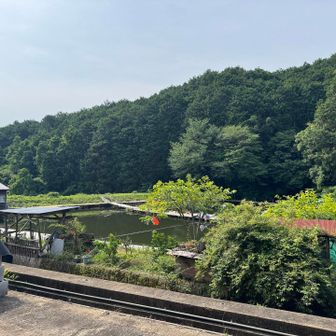 釣り堀にもお客さんがたくさん
梅雨の中休み👍🏻
