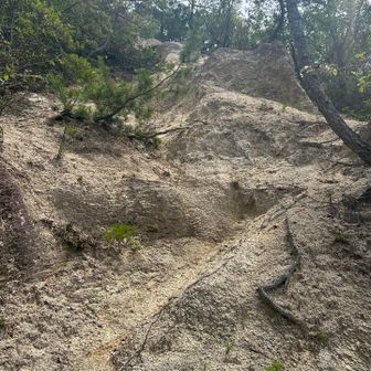 ここ登ったら山頂