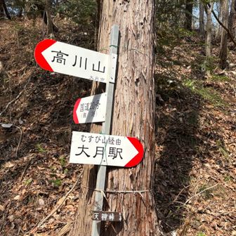天神峠で休憩してからむすび山へ